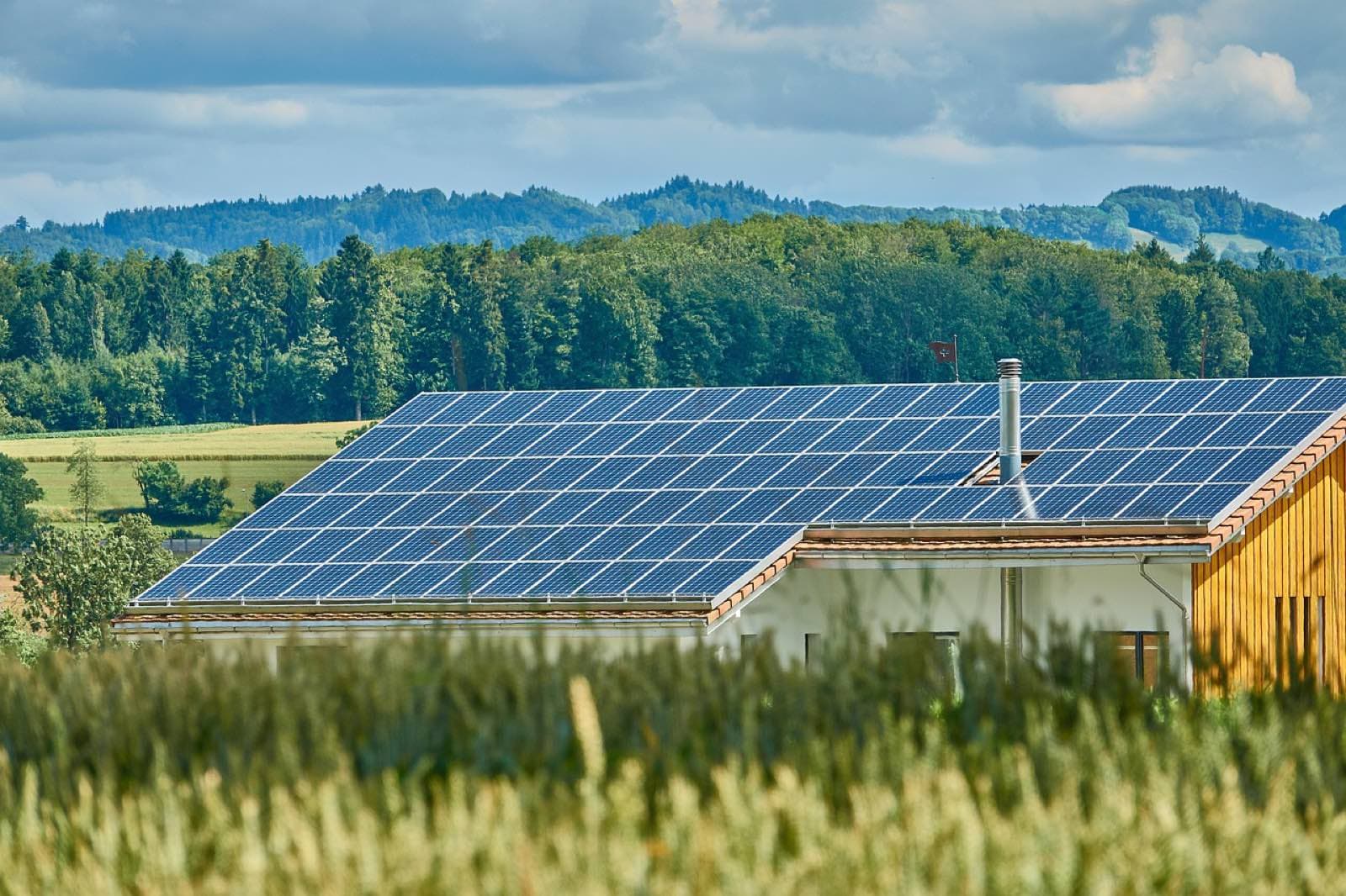 Il tetto di una casa di campagna coperto di pannelli fotovoltaici, con un campo di grano davanti e i boschi dietro